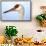 Sandhill Crane, Grus Canadensis, Close Up of Heads-Richard Wright-Framed Stretched Canvas displayed on a wall