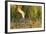 Sandhill Crane (Grus Canadensis) with Two Newly Hatched Chicks on a Nest in a Flooded Pasture-Gerrit Vyn-Framed Photographic Print