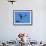 Sandhill Crane in Flight, Bosque del Apache National Wildlife Refuge, New Mexico, USA-Charles Sleicher-Framed Photographic Print displayed on a wall