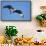 Sandhill Crane in Flight, Bosque Del Apache, New Mexico-Paul Souders-Framed Stretched Canvas displayed on a wall