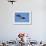 Sandhill Crane in Flight, Bosque Del Apache, New Mexico-Paul Souders-Framed Photographic Print displayed on a wall