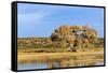 Sandhill Crane Pond, Bosque Del Apache National Wildlife Refuge, New Mexico-Maresa Pryor-Framed Stretched Canvas