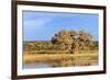 Sandhill Crane Pond, Bosque Del Apache National Wildlife Refuge, New Mexico-Maresa Pryor-Framed Photographic Print