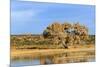 Sandhill Crane Pond, Bosque Del Apache National Wildlife Refuge, New Mexico-Maresa Pryor-Mounted Photographic Print