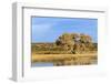 Sandhill Crane Pond, Bosque Del Apache National Wildlife Refuge, New Mexico-Maresa Pryor-Framed Photographic Print