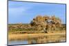 Sandhill Crane Pond, Bosque Del Apache National Wildlife Refuge, New Mexico-Maresa Pryor-Mounted Photographic Print