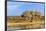 Sandhill Crane Pond, Bosque Del Apache National Wildlife Refuge, New Mexico-Maresa Pryor-Framed Photographic Print