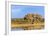 Sandhill Crane Pond, Bosque Del Apache National Wildlife Refuge, New Mexico-Maresa Pryor-Framed Photographic Print