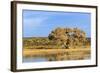 Sandhill Crane Pond, Bosque Del Apache National Wildlife Refuge, New Mexico-Maresa Pryor-Framed Photographic Print