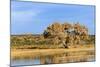 Sandhill Crane Pond, Bosque Del Apache National Wildlife Refuge, New Mexico-Maresa Pryor-Mounted Photographic Print