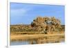 Sandhill Crane Pond, Bosque Del Apache National Wildlife Refuge, New Mexico-Maresa Pryor-Framed Photographic Print