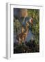 Sandhill Crane with Both Colts on Nest, Florida-Maresa Pryor-Framed Photographic Print