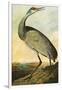 Sandhill Crane-John James Audubon-Framed Premium Giclee Print