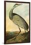 Sandhill Crane-John James Audubon-Framed Premium Giclee Print