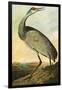 Sandhill Crane-John James Audubon-Framed Premium Giclee Print