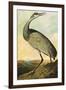 Sandhill Crane-John James Audubon-Framed Art Print