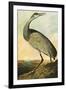 Sandhill Crane-John James Audubon-Framed Art Print