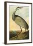 Sandhill Crane-John James Audubon-Framed Art Print