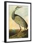 Sandhill Crane-John James Audubon-Framed Art Print