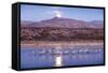 Sandhill Cranes and Full Moon, Bosque Del Apache, New Mexico-Paul Souders-Framed Stretched Canvas