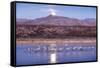 Sandhill Cranes and Full Moon, Bosque Del Apache, New Mexico-Paul Souders-Framed Stretched Canvas