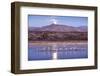 Sandhill Cranes and Full Moon, Bosque Del Apache, New Mexico-Paul Souders-Framed Photographic Print