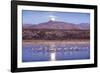 Sandhill Cranes and Full Moon, Bosque Del Apache, New Mexico-Paul Souders-Framed Photographic Print