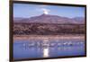 Sandhill Cranes and Full Moon, Bosque Del Apache, New Mexico-Paul Souders-Framed Photographic Print