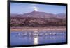 Sandhill Cranes and Full Moon, Bosque Del Apache, New Mexico-Paul Souders-Framed Photographic Print