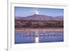 Sandhill Cranes and Full Moon, Bosque Del Apache, New Mexico-Paul Souders-Framed Photographic Print