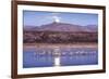 Sandhill Cranes and Full Moon, Bosque Del Apache, New Mexico-Paul Souders-Framed Photographic Print