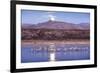 Sandhill Cranes and Full Moon, Bosque Del Apache, New Mexico-Paul Souders-Framed Photographic Print