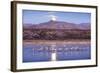 Sandhill Cranes and Full Moon, Bosque Del Apache, New Mexico-Paul Souders-Framed Photographic Print