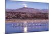 Sandhill Cranes and Full Moon, Bosque Del Apache, New Mexico-Paul Souders-Mounted Photographic Print