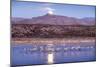 Sandhill Cranes and Full Moon, Bosque Del Apache, New Mexico-Paul Souders-Mounted Photographic Print