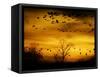 Sandhill Cranes are Silhouetted against a Fiery Sunset-null-Framed Stretched Canvas