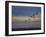 Sandhill Cranes At Sunrise-Galloimages Online-Framed Photographic Print