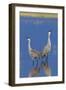 Sandhill Cranes calling-Ken Archer-Framed Photographic Print