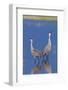 Sandhill Cranes calling-Ken Archer-Framed Photographic Print