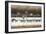 Sandhill Cranes Flying, Bosque Del Apache National Wildlife Refuge, New Mexico-Maresa Pryor-Framed Photographic Print