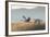 Sandhill Cranes Flying, Bosque Del Apache National Wildlife Refuge, New Mexico-Maresa Pryor-Framed Photographic Print