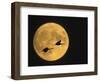 Sandhill Cranes Flying in Front of Full Moon, Bosque Del Apache National Wildlife Reserve-Ellen Anon-Framed Photographic Print