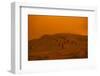 Sandhill Cranes Flying-DLILLC-Framed Photographic Print