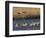 Sandhill Cranes (Grus Canadensis) Flying at Dusk, Platte River, Nebraska, USA-William Sutton-Framed Photographic Print