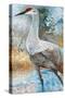 Sandhill Cranes I-Cecile Broz-Stretched Canvas