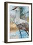 Sandhill Cranes I-Cecile Broz-Framed Giclee Print