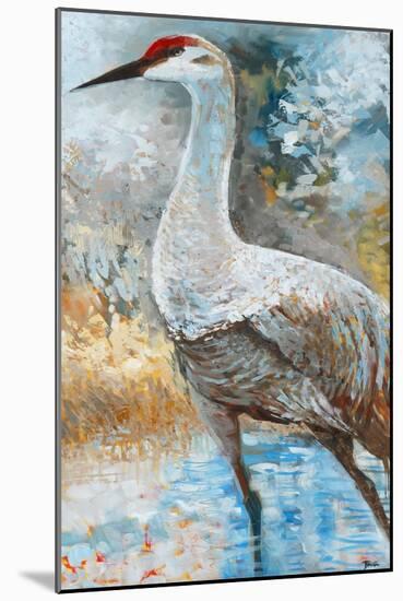 Sandhill Cranes I-Cecile Broz-Mounted Giclee Print