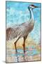 Sandhill Cranes II-Cecile Broz-Mounted Giclee Print