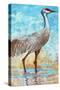 Sandhill Cranes II-Cecile Broz-Stretched Canvas