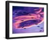 Sandhill Cranes in Flight and Lenticular Cloud Formation over Mt. Shasta, California-Tom Haseltine-Framed Photographic Print